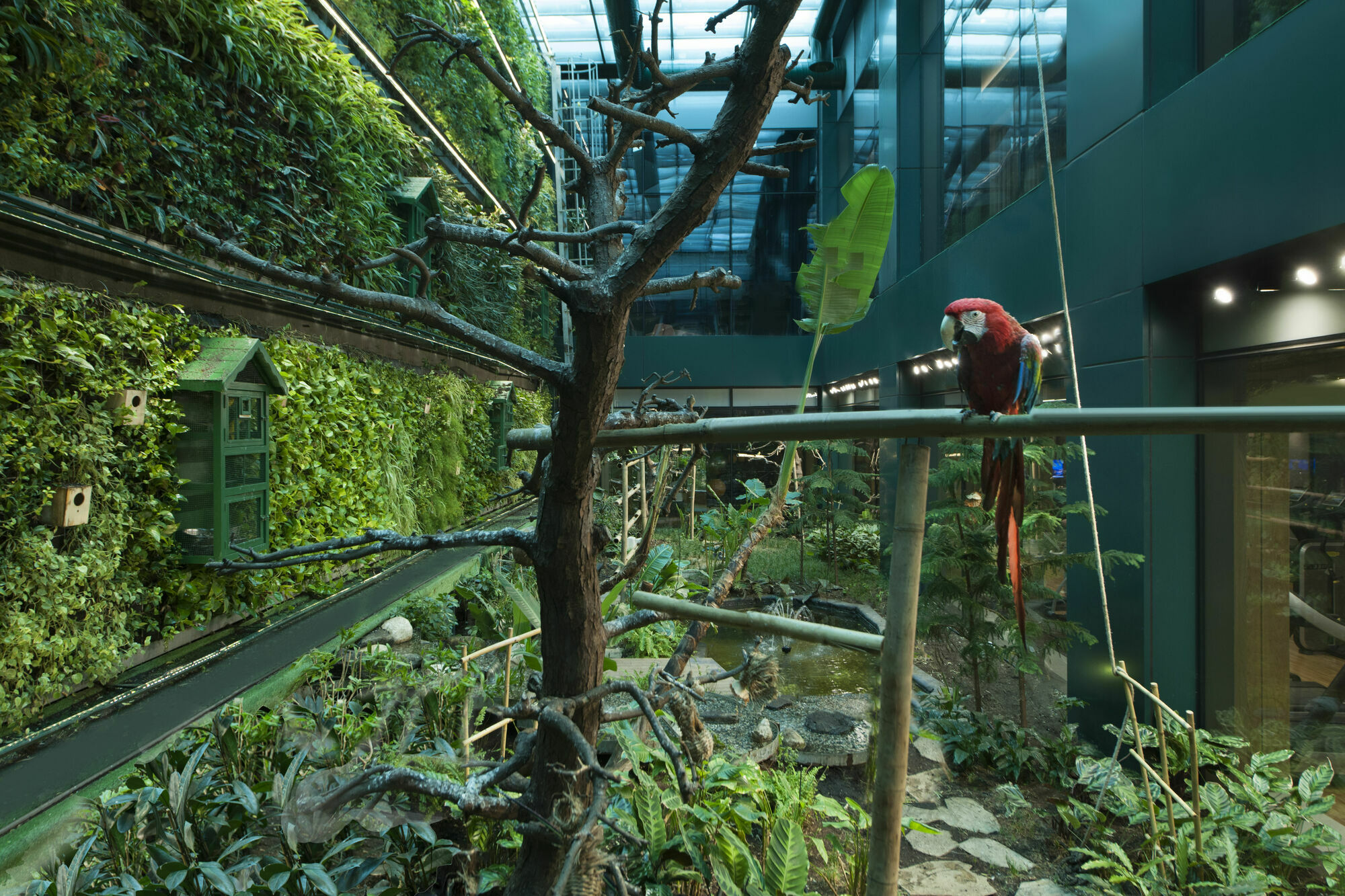 精英世界欧洲酒店 伊斯坦布尔 外观 照片 Parrots at the Aviary